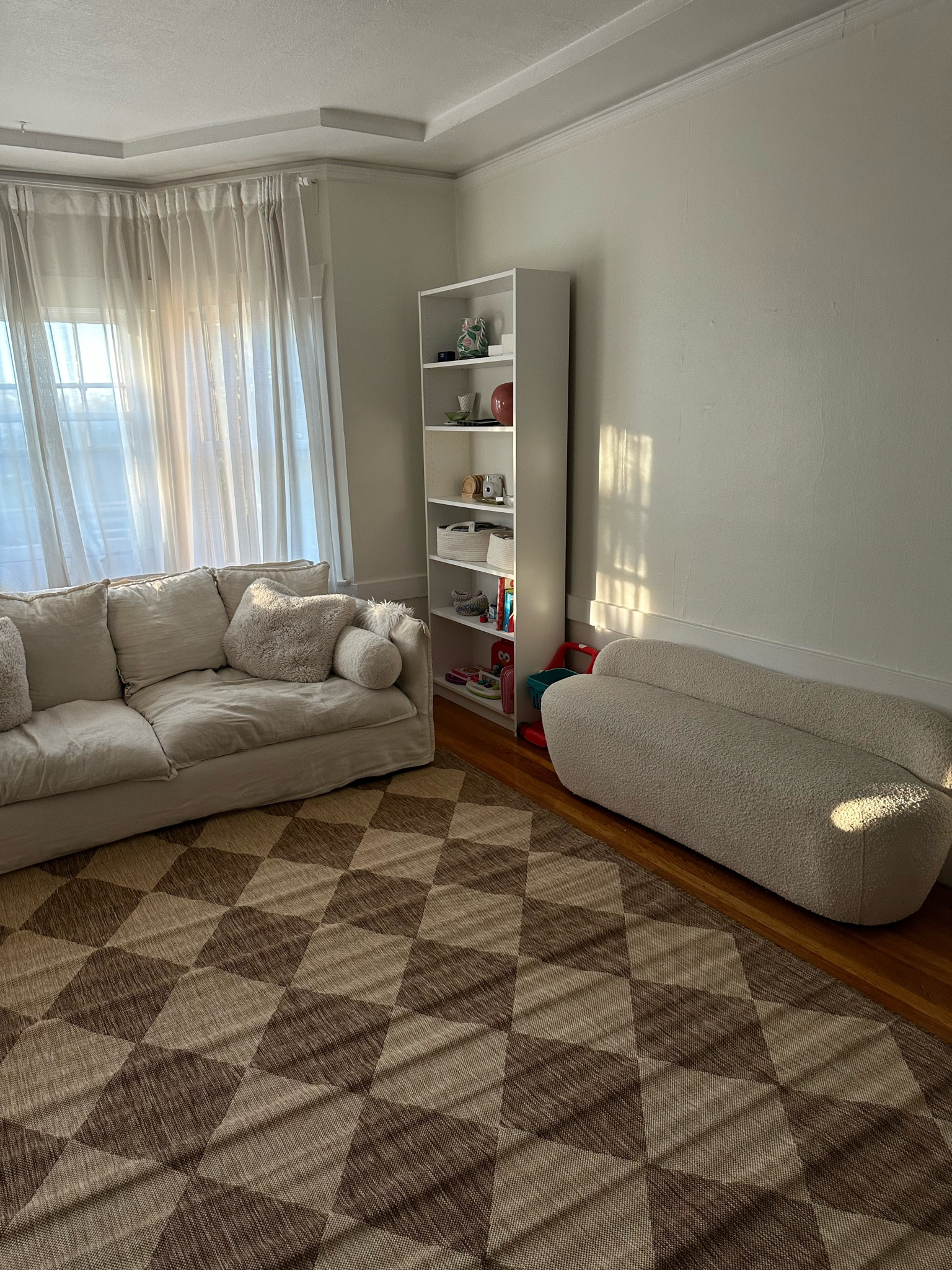 8x10 indoor/outdoor rug 

#LTKhome