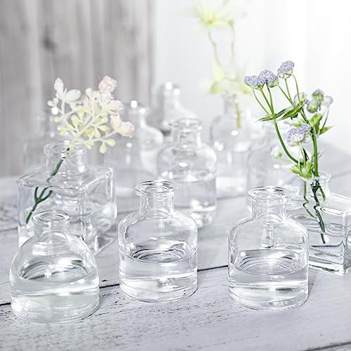 Small Mini Flower Vases - Set of 20 Clear Glass Bud Vases - Vintage Rustic Centerpieces for Weddings, Events & Home Décor - Premium Quality, Timeless Designs | Amazon (US)