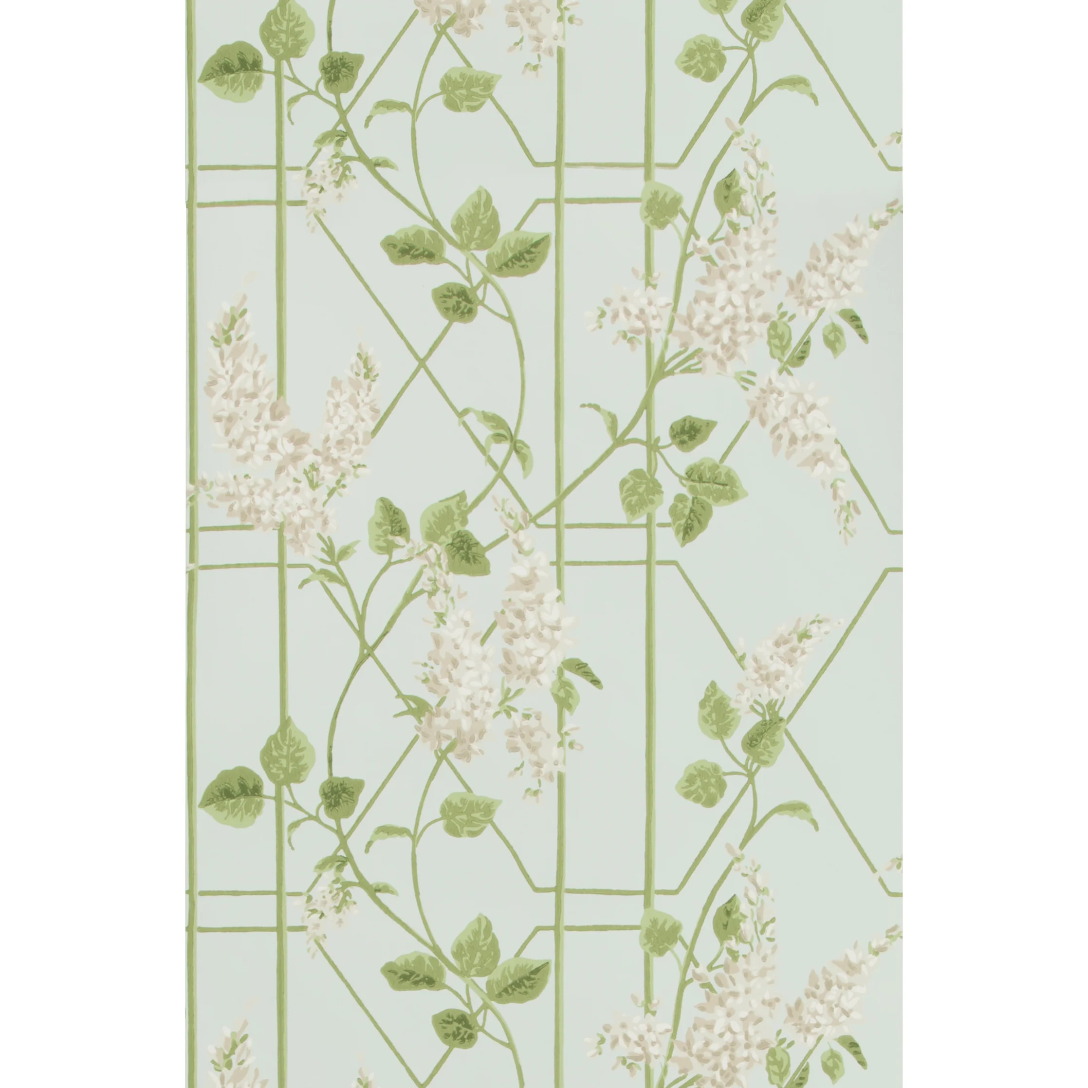 Cole & Sons Wisteria 33' L x 20.5" W Wallpaper Roll | Perigold | Perigold