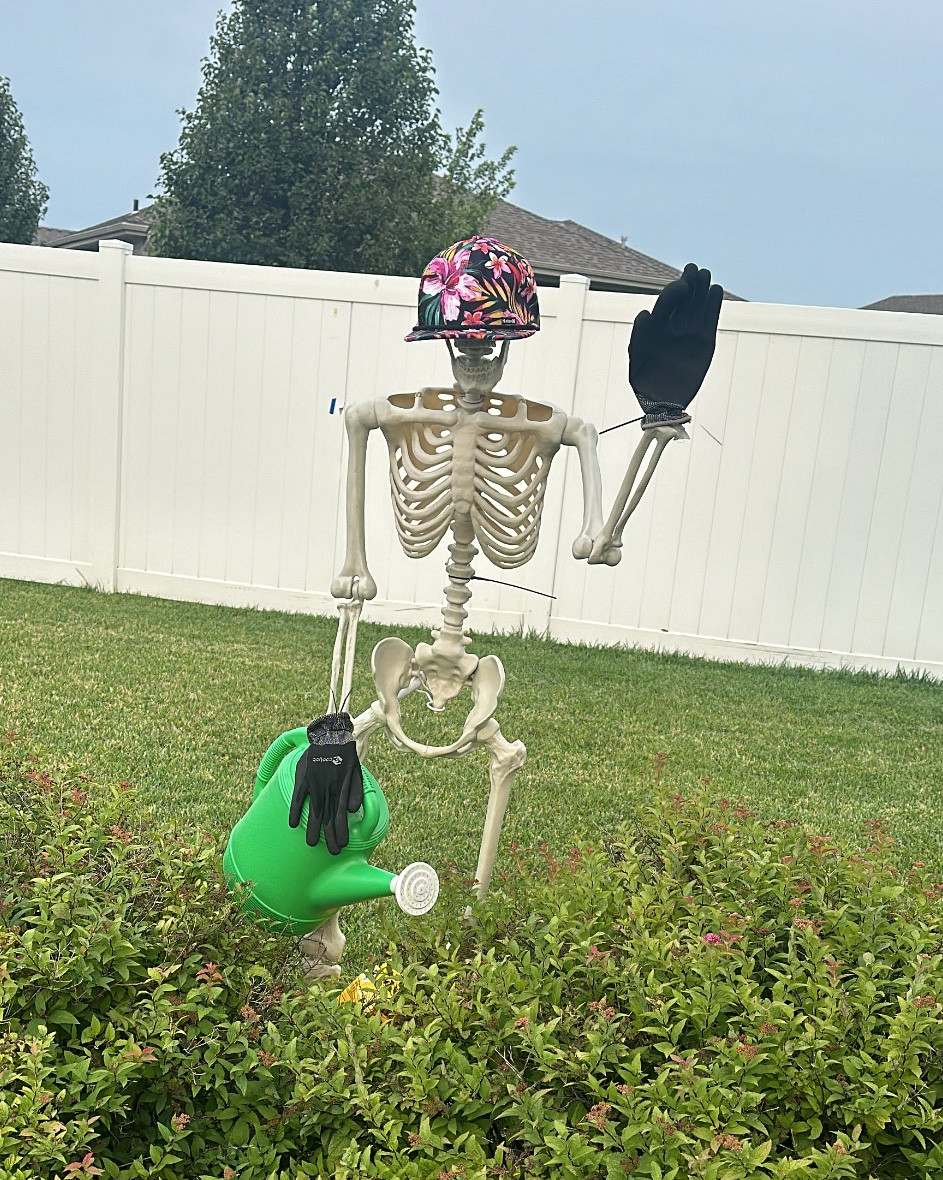 “Hard to find good help” gardening skelly

Linked everything you need to recreate 😊

#LTKSeasonal