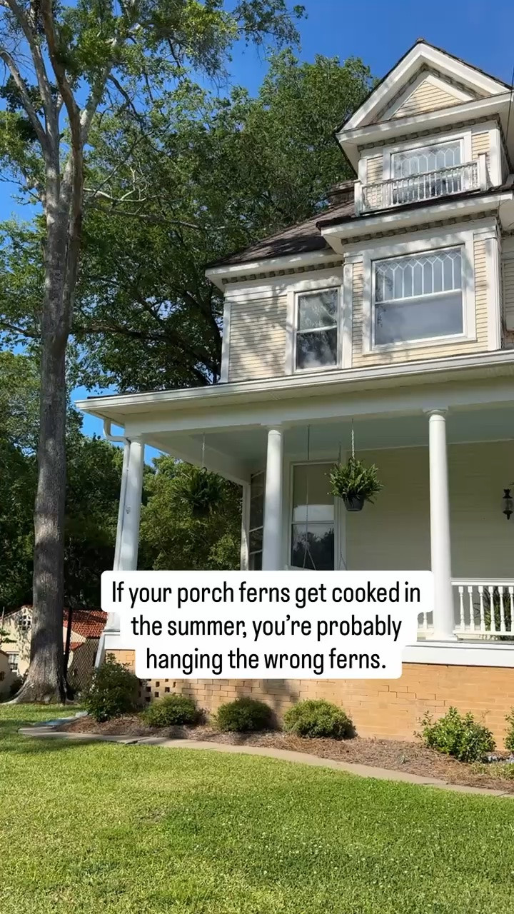 If your porch ferns are getting cooked all summer… you’re probably hanging the wrong ferns 🌿☀️
-
-
-
-
garden, plants, ferns, home, flowers

#LTKSeasonal #LTKHome