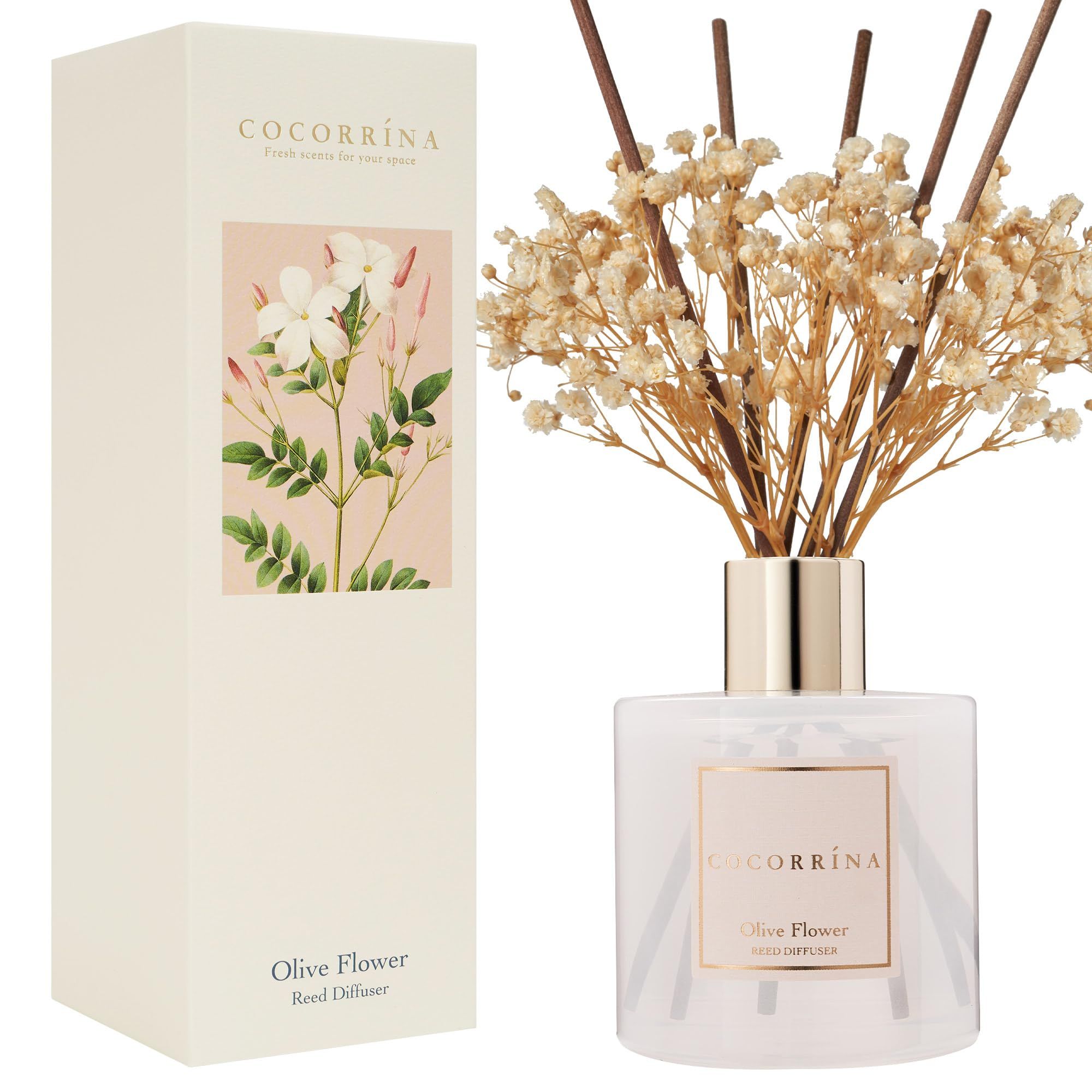 COCORRÍNA Reed Diffuser - Olive Flower Scented Diffuser with 8 Sticks Home Fragrance Reed Diffus... | Amazon (US)