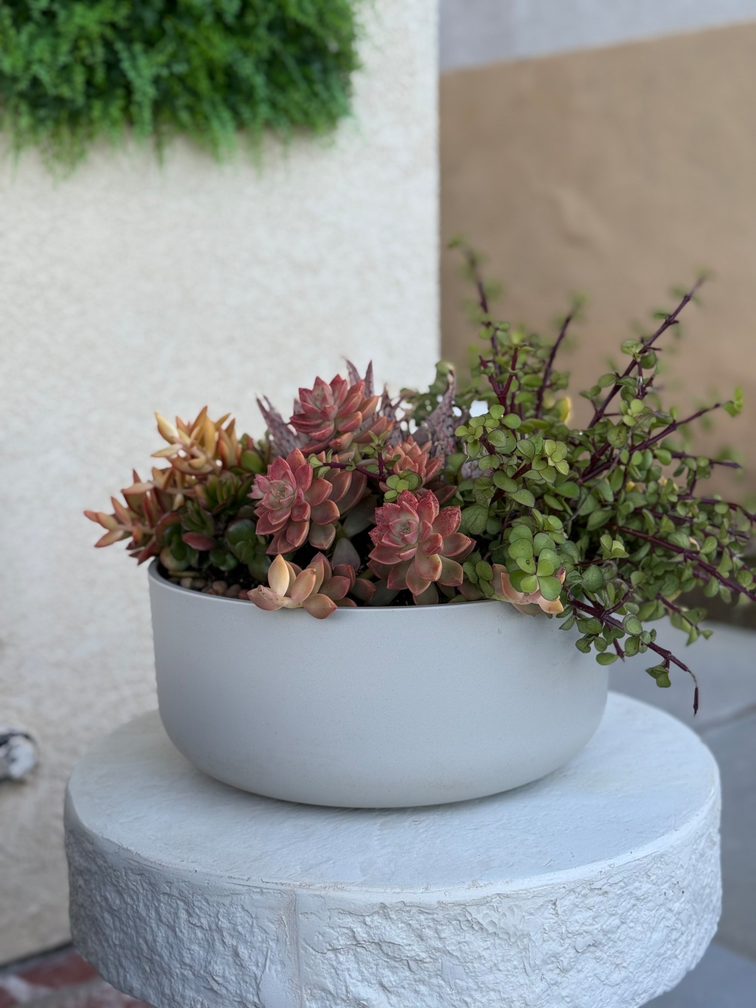 How beautiful is this planter from Veradek!! 

Bowl planter, outdoor decor, patio decor

#LTKHome #LTKSeasonal