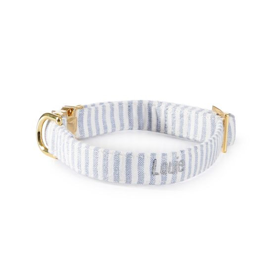 The Foggy Dog Collar | Mark and Graham