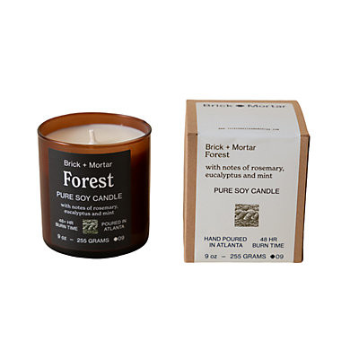 Forest Handmade Soy Candle with Rosemary, Eucalyptus & Peppermint Scents | Ballard Designs, Inc.