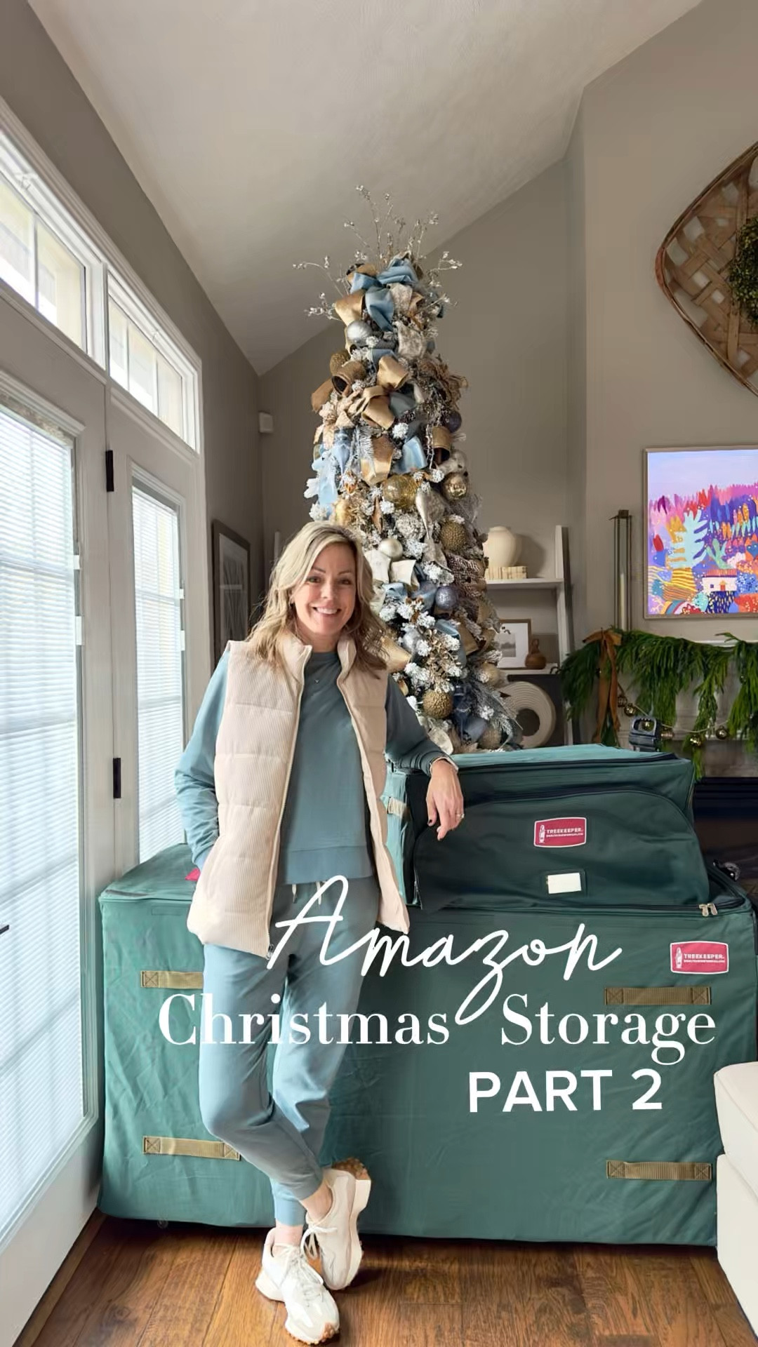 This Amazon rolling storage tree bag, will store trees up to 15ft or multiple smaller trees and wreaths. It has a heavy duty frame with wheels that make it easy to transport. The inner compression straps keep your tree secured tightly in place, and it can be stored vertically or horizontally.

#LTKWatchNow #LTKSeasonal #LTKHome