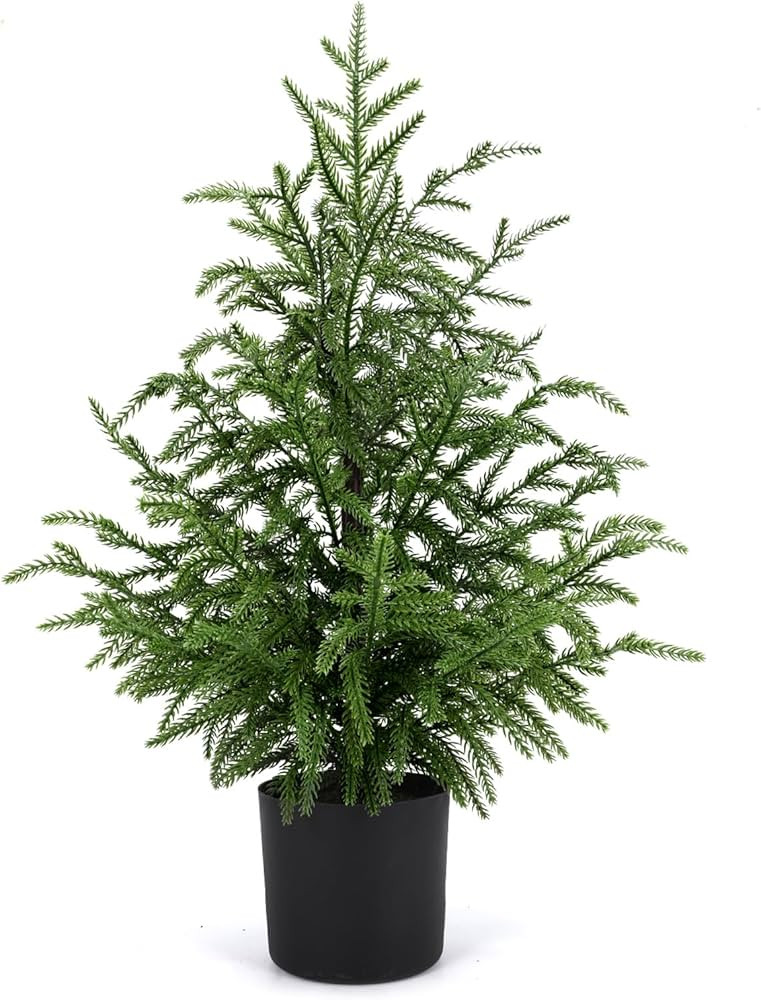 24" Artificial Norfolk Pine Potted Trees – Realistic Faux Christmas Greenery for Tabletop, Mant... | Amazon (US)