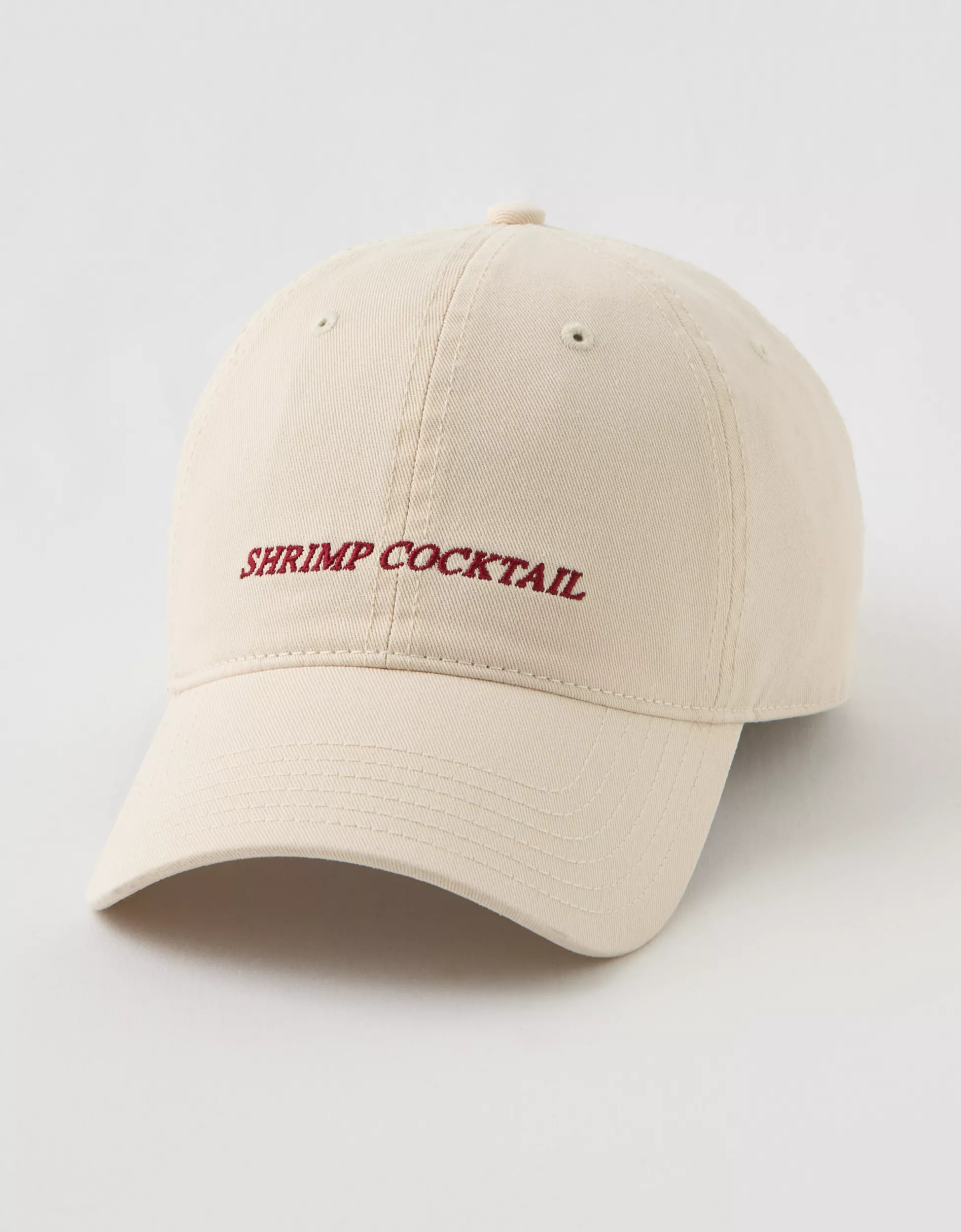 Aerie Graphic Baseball Hat | Aerie