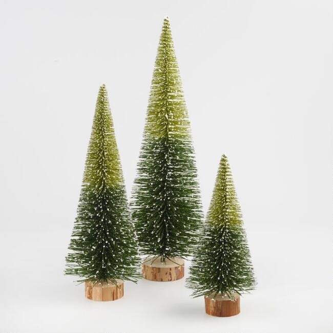 Green Ombre Bottlebrush Trees | World Market