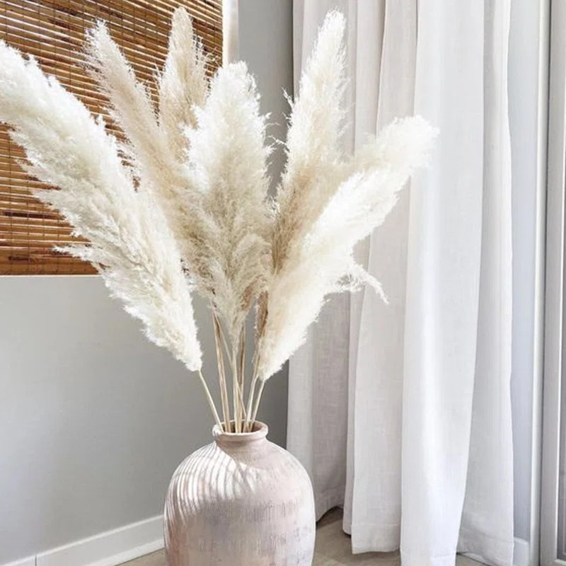Primrue Preserved Pampas Grass – 59-Inch Tall, Neutral Beige Set & Reviews | Wayfair | Wayfair North America
