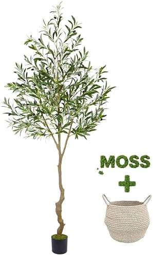 Warmplants Artificial Olive Tree, 7ft Tall Fake Olive Leaves Plant with Basket, Indoor Outdoor Fa... | Amazon (CA)