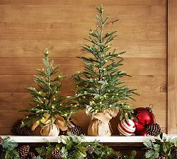 Faux Lit Burlap Potted Pine Tree | Pottery Barn (US)