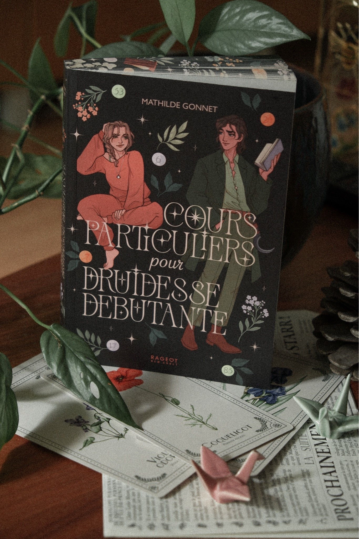 Livre cosy fantasy #livres #bookstagram #cosyfantasy #pal

#LTKfrance #LTKgiftguide #LTKhome