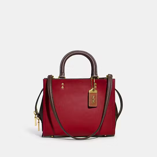 Rogue 25 In Colorblock | Coach (US)