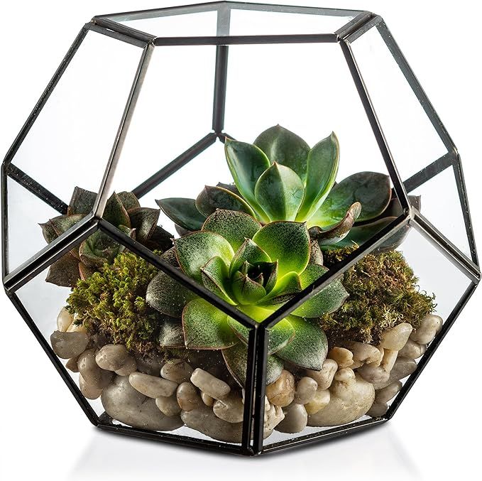 KooK Geometric Glass Terrarium, Eloquent Design, Plants, Succulents, Votive Candle Holder (Black) | Amazon (US)