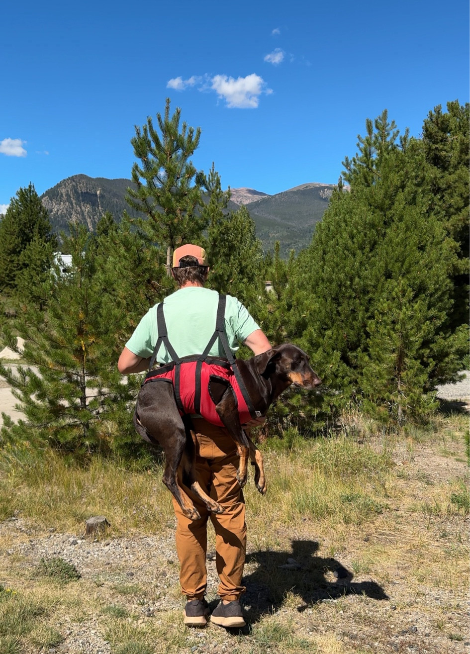 Dog Rescue Sling For Hiking🥾🏔️