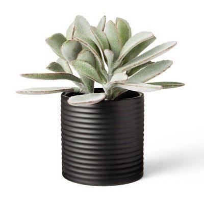 8.5" x 5" Faux Succulent Lamb's Ear Plant in Ribbed Pot Black - Hilton Carter for Target | Target