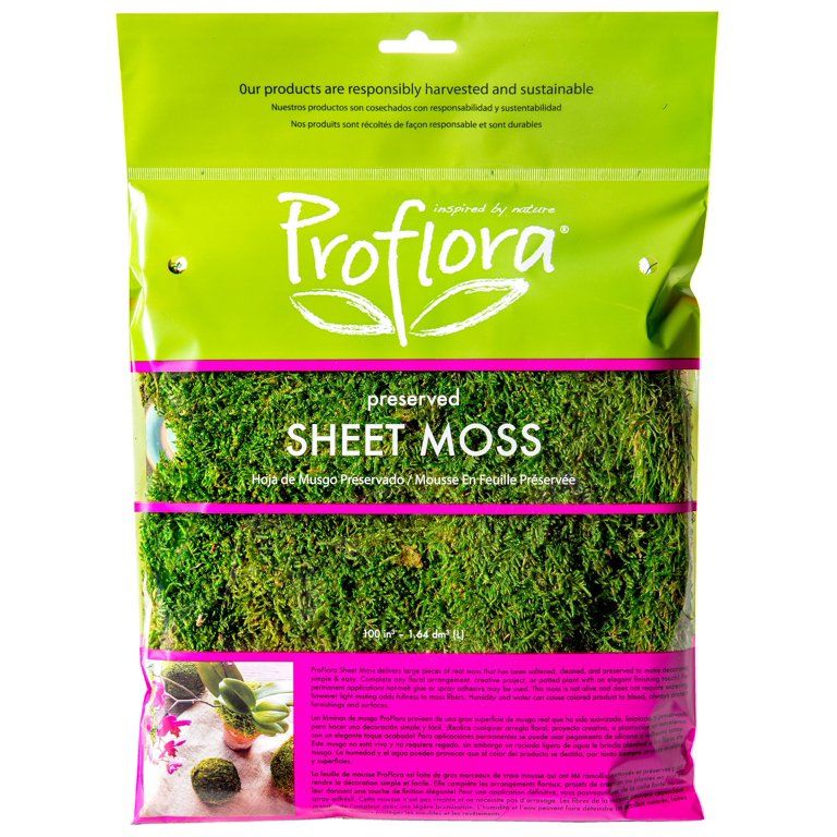 ProFlora Green True Moss Sheet, 2oz Floral Arranging Supplies | Walmart (US)
