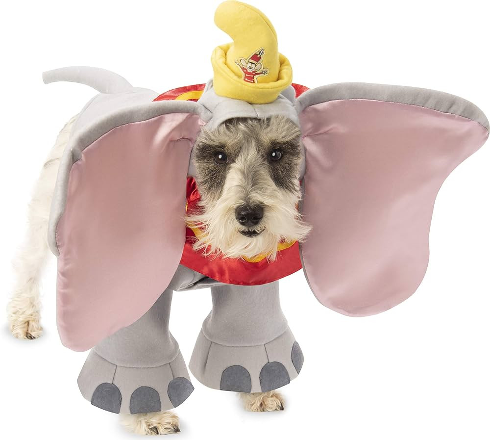Rubie's Disney Dumbo Pet Costume, Small | Amazon (US)