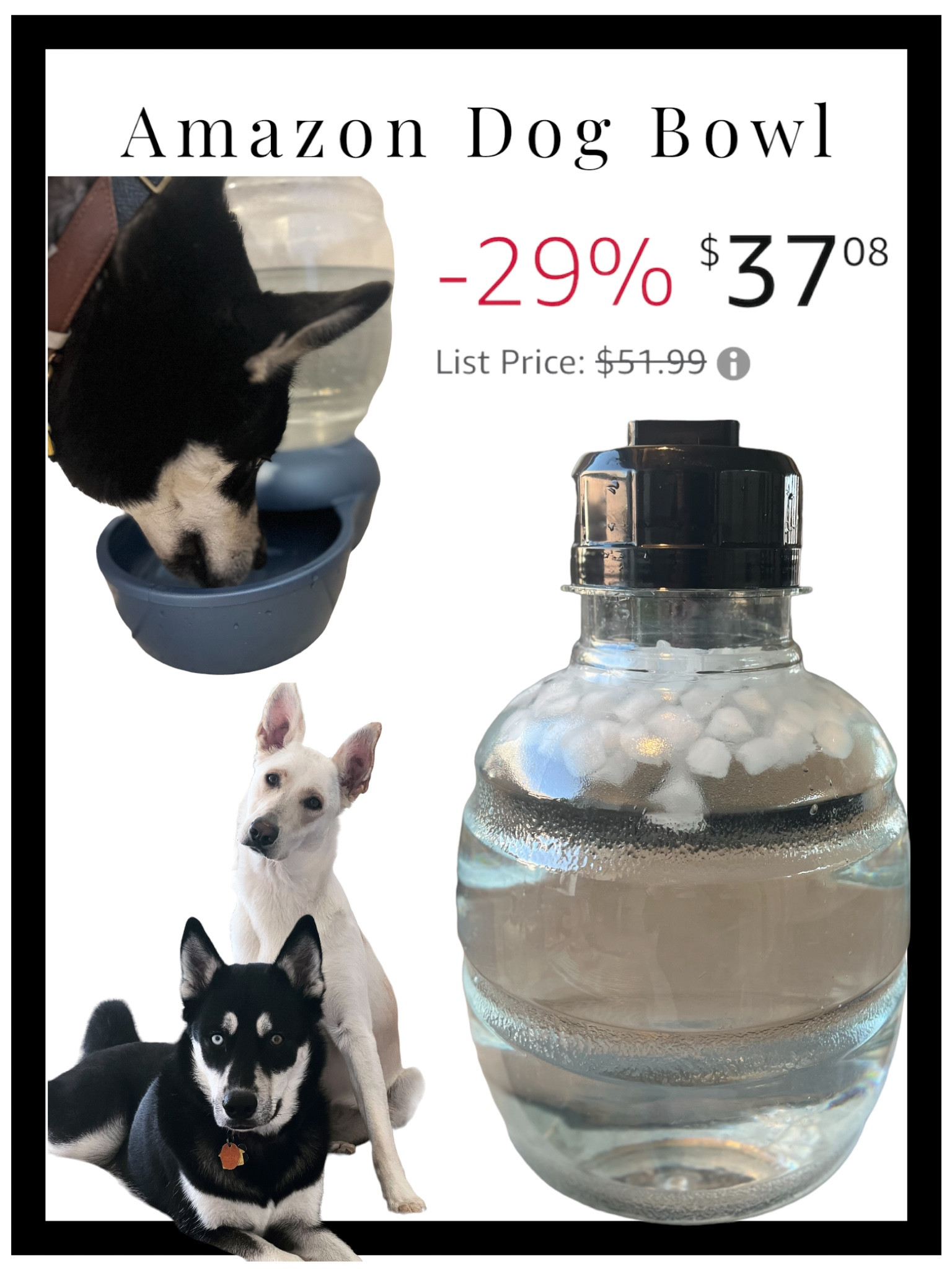 If you have more then one dog OR have a big dog OR both, this is a life saver! I now only have to refill it once a week.

#LTKGiftGuide 

#LTKunder50 #LTKsalealert