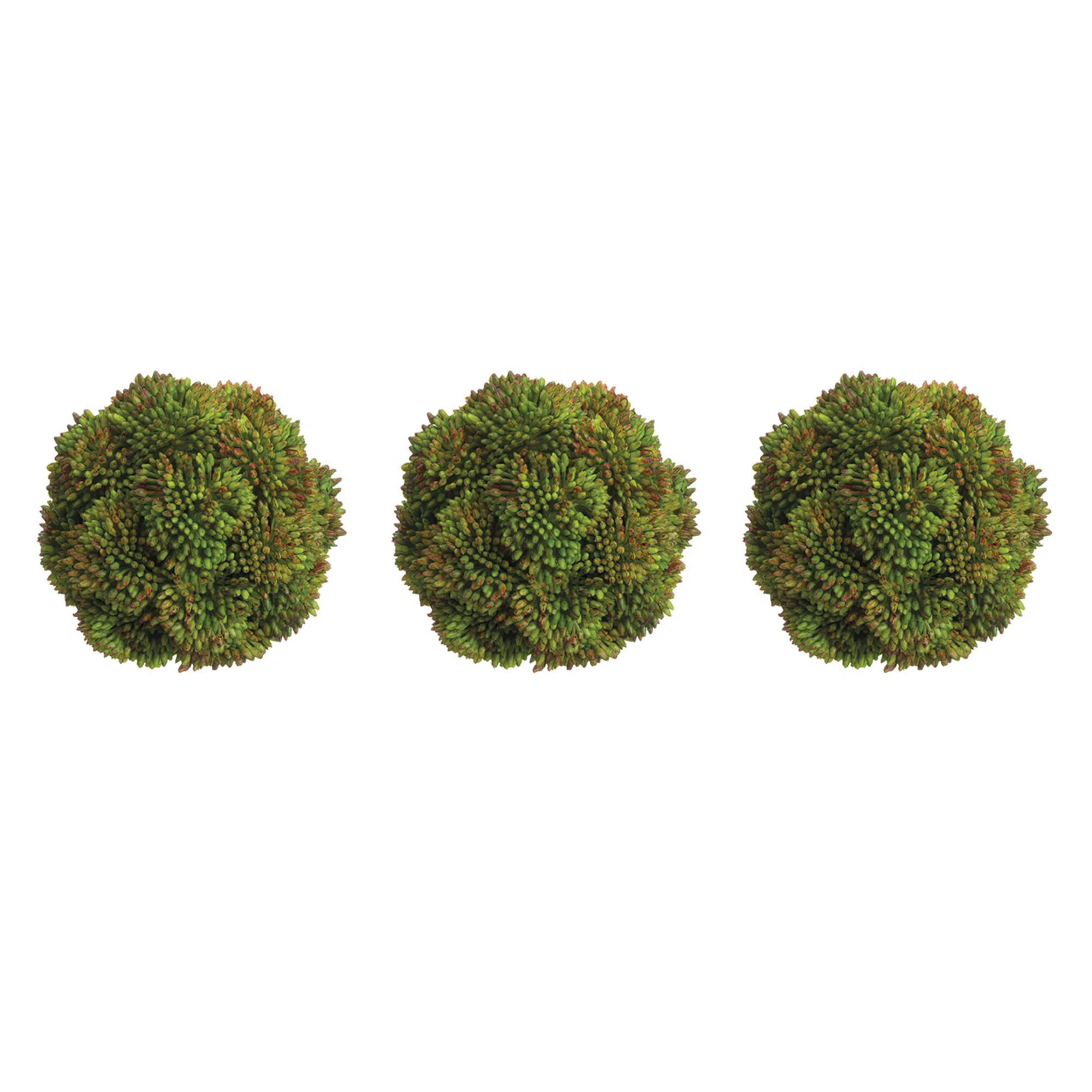 Decorative Sedum Balls (Set of 3) (Set of 3) | Perigold