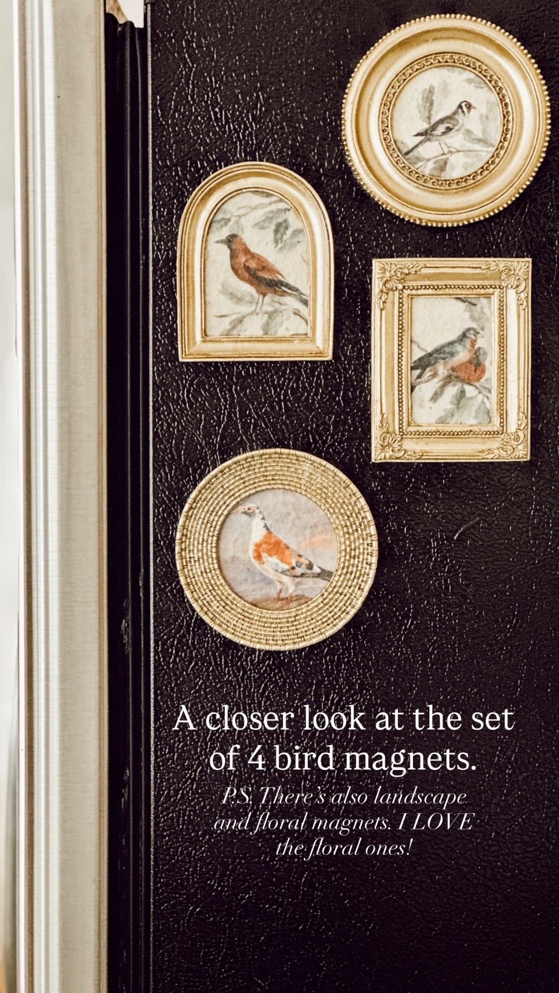 P.S. There’s also landscape and floral magnets. I LOVE the floral ones! A closer look at the set of 4 bird magnets.