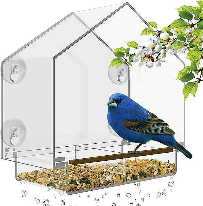 Window Bird Feeder - Large Bird House for Outside. Removable Sliding Tray with Drain Holes. Best ... | Amazon (US)