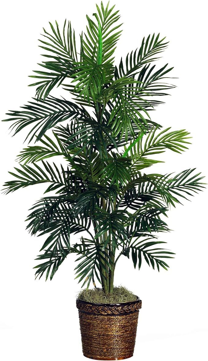 Nearly Natural 5263-0308 56in. Areca Palm Silk Tree with Basket,Green,10" x 10" x 48" | Amazon (US)