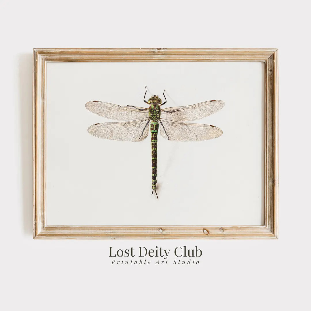 Dragonfly Art Vintage Sketch Print, Minimalist Nature Wall Art PRINTABLE Entomology Insect Art, R... | Etsy (US)