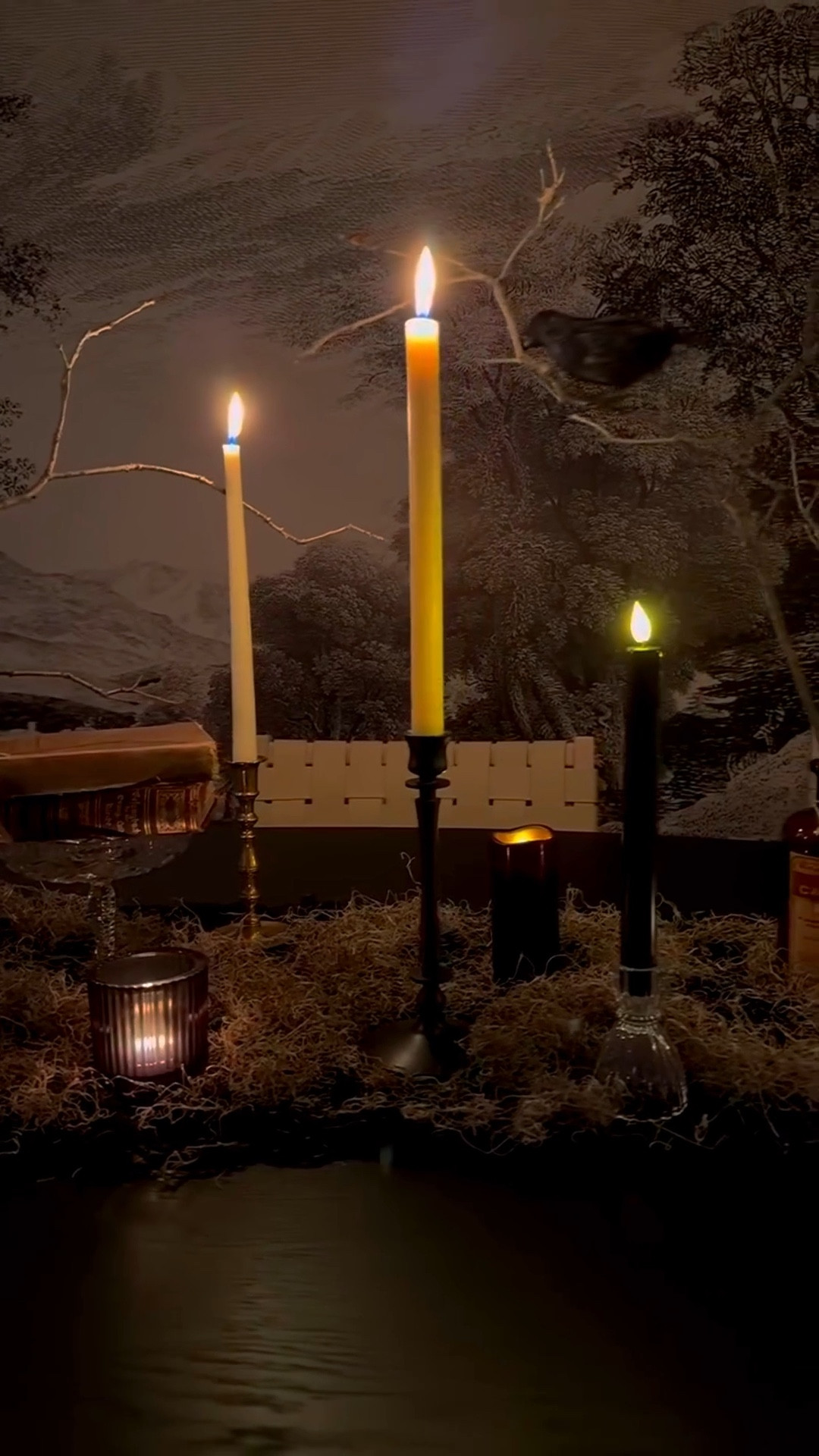 Curating Halloween tablescapes has become a personal favorite! All the crystal, brass, and random oddities I come across throughout the year find their way here. Add a few black taper candles and we’re golden! 

#LTKSeasonal #LTKHome #LTKHalloween