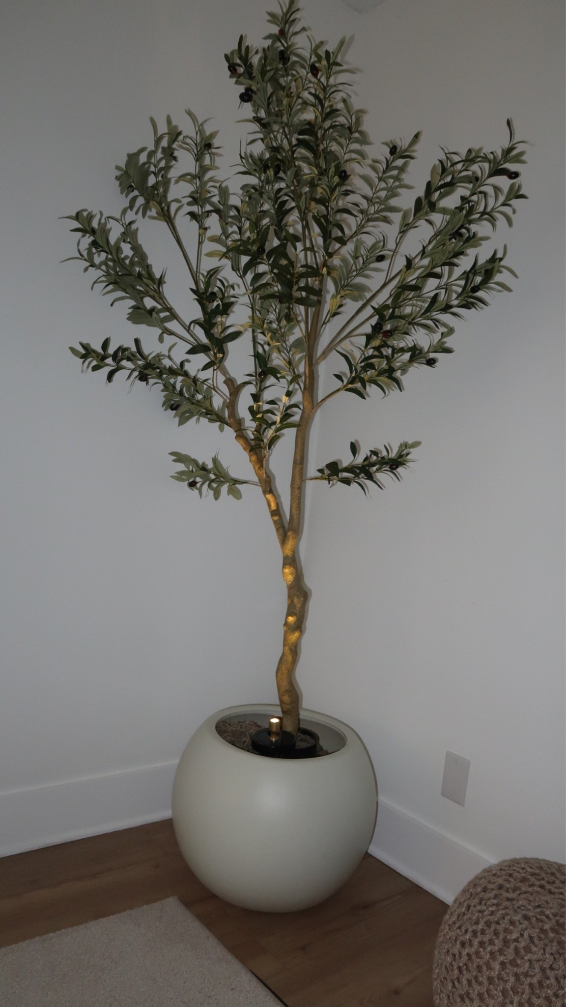 🤎One of my favorite decor pieces in the house. It adds so much warmth and life to an empty corner without needing any maintenance. I love how it brings in a natural touch and helps make the space feel more finished, cozy, and inviting. Sometimes the simplest decor pieces make the biggest impact. 

Uno de mis elementos decorativos favoritos. Le da vida a cualquier rincón y hace que el espacio se vea más acogedor y completo. 🌿

Follow me on Instagram and YouTube
@kirasfashionfinds

#LTKHome #LTKvlog