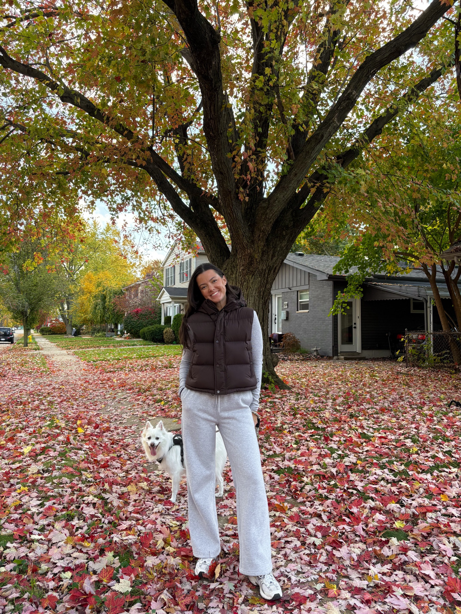 Evening walk with Tyler and Tofu 🥰☁️ wearing the softest, most plush sweatpants and puffer vest! I wear a size small in everything and I’m 5’7”. These are staples to have on repeat all fall and winter! 

#LTKSeasonal #LTKStyleTip