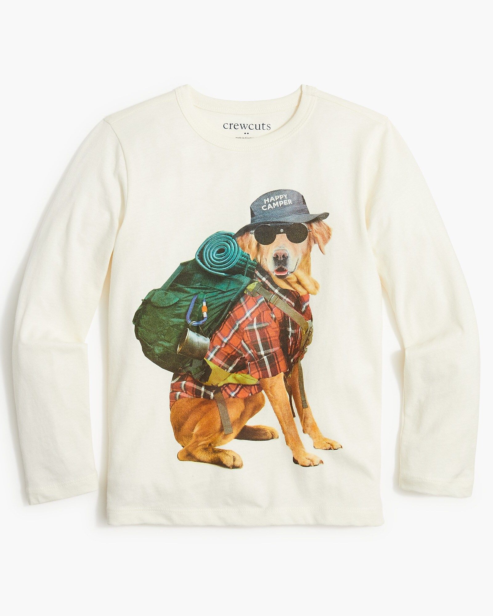 Boys' camping dog graphic tee | J.Crew Factory