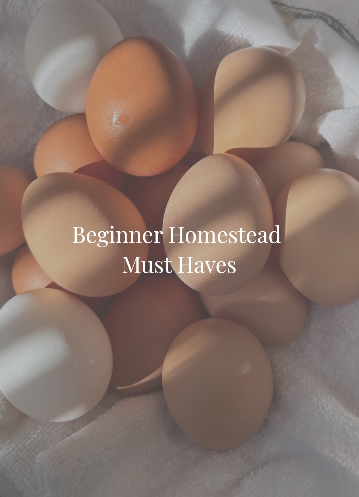 Things that make getting started a whole lot easier - #LTKPets #LTKHomestead 

#LTKdayinmylife #LTKvlog #LTKstorytime