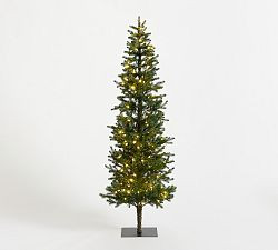 Large - 6'H | Pottery Barn (US)