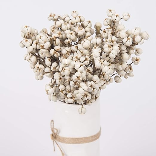 Tallow Berries Dried, Natural Stem Wedding Floral Décor Tallow Berries Dried Flower Dried Plants... | Amazon (US)