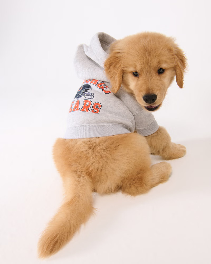NFL Philadelphia Eagles Pet Pupover | NFL | Abercrombie.com | Abercrombie & Fitch (US)