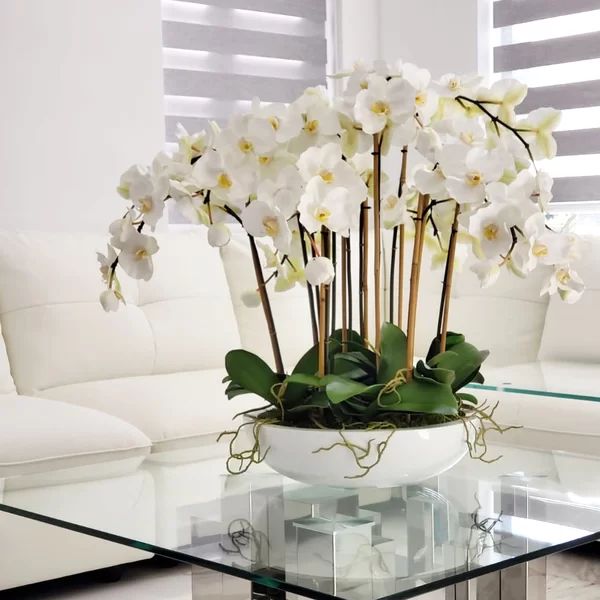 White Orchids On Monique Fiberglass Bowl | Wayfair North America