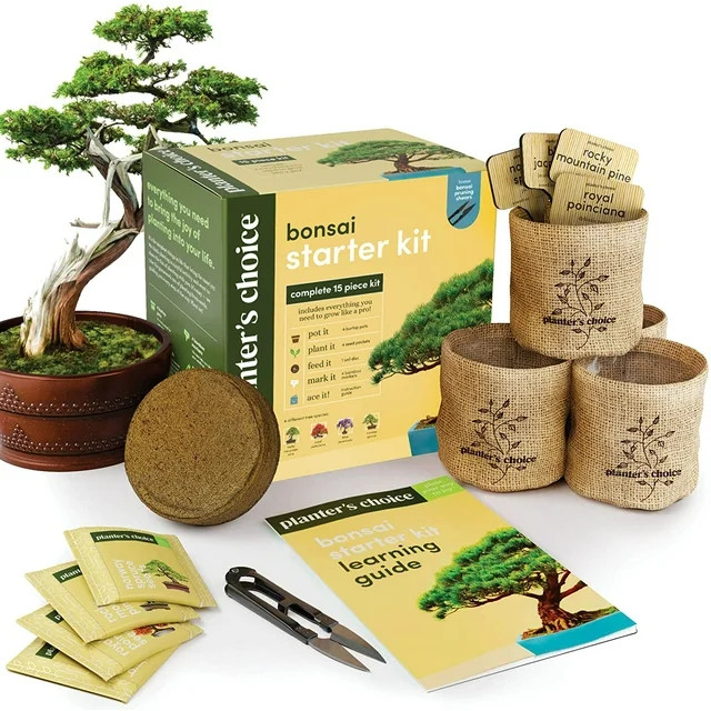 Planters' Choice Bonsai Tree Plant Growing Kits with Seed-safe Packets (4 Count) | Walmart (US)
