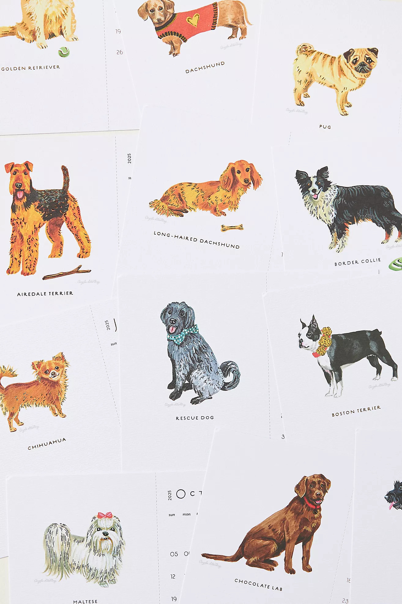 Seedlings 2025 Postcard Calendar | Anthropologie (US)