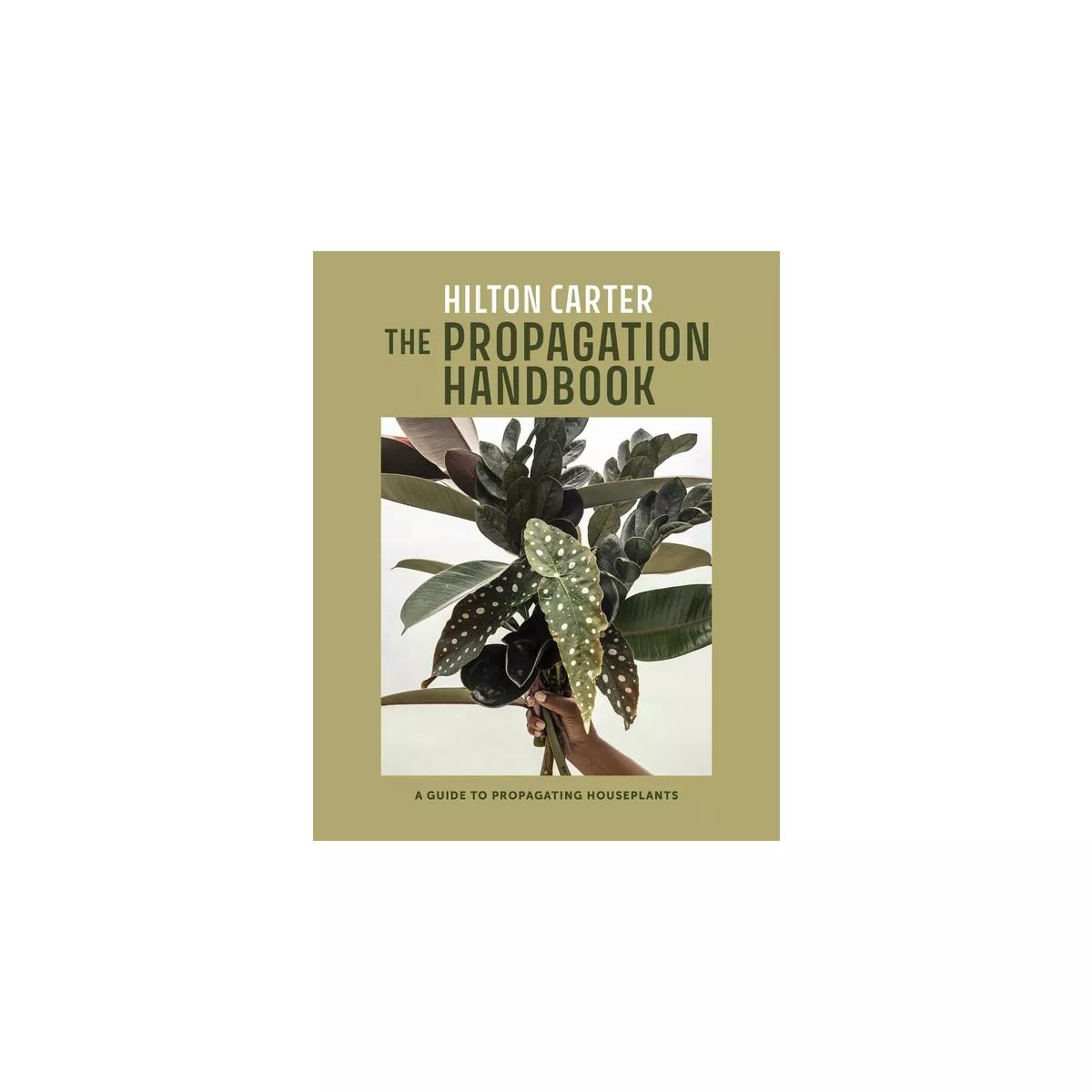 The Propagation Handbook - by  Hilton Carter (Hardcover) | Target