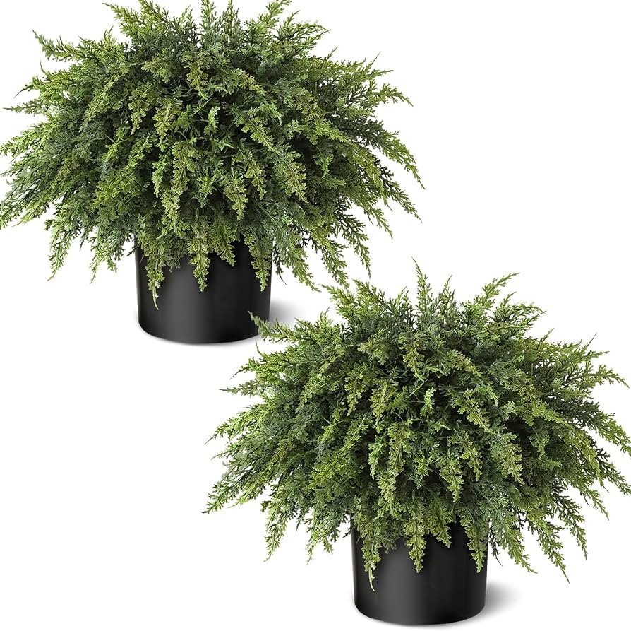 2Pcs Artificial Cedar Potted Plant Christmas Greenery for Front Porch Decor | Amazon (US)