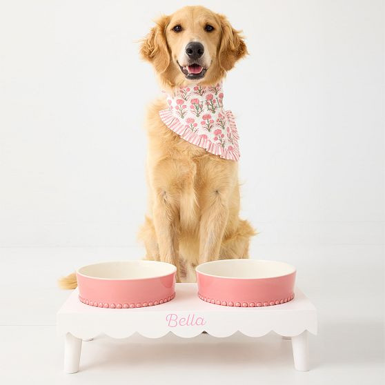 Build Your Pet Bowl Stand | Mark and Graham