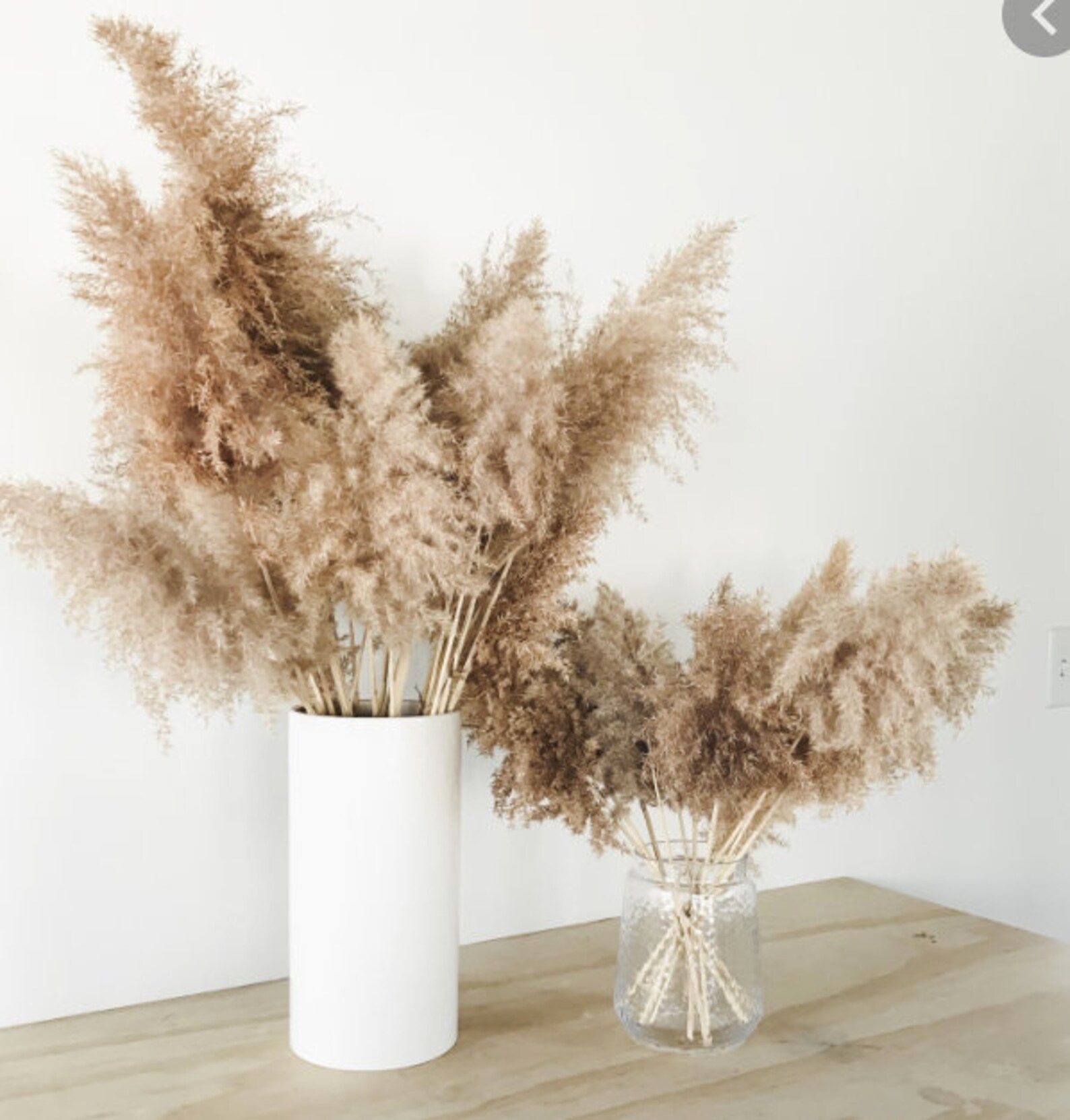 6pc x 4ft Natural Fluffy Pampas Grass Dried Florals  dried | Etsy | Etsy (US)
