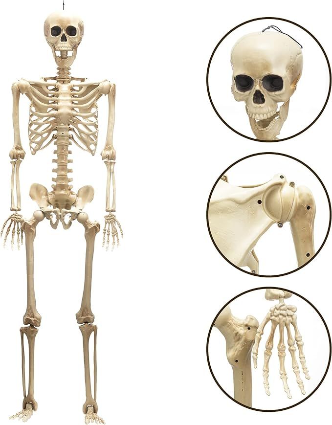 JOYIN 5 ft Halloween Life-Size Skeleton, Full Body Plastic Skeleton with Movable Joint, Human Bon... | Amazon (US)