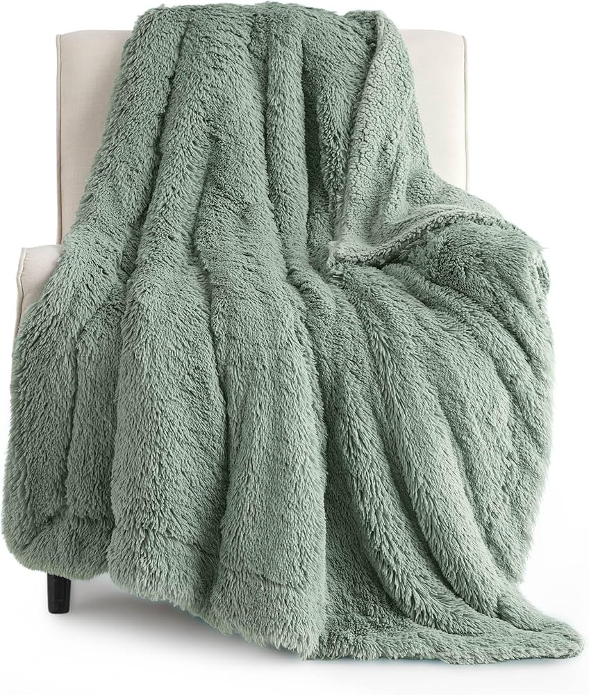 Bedsure GentleSoft Fluffy Sage Green Throw Blanket, Sage Green Decor for Room, Soft Cozy Fuzzy Pl... | Amazon (US)