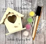 Heart and Heart with Fence Birdhouse Painting DIY Kit | Amazon (US)