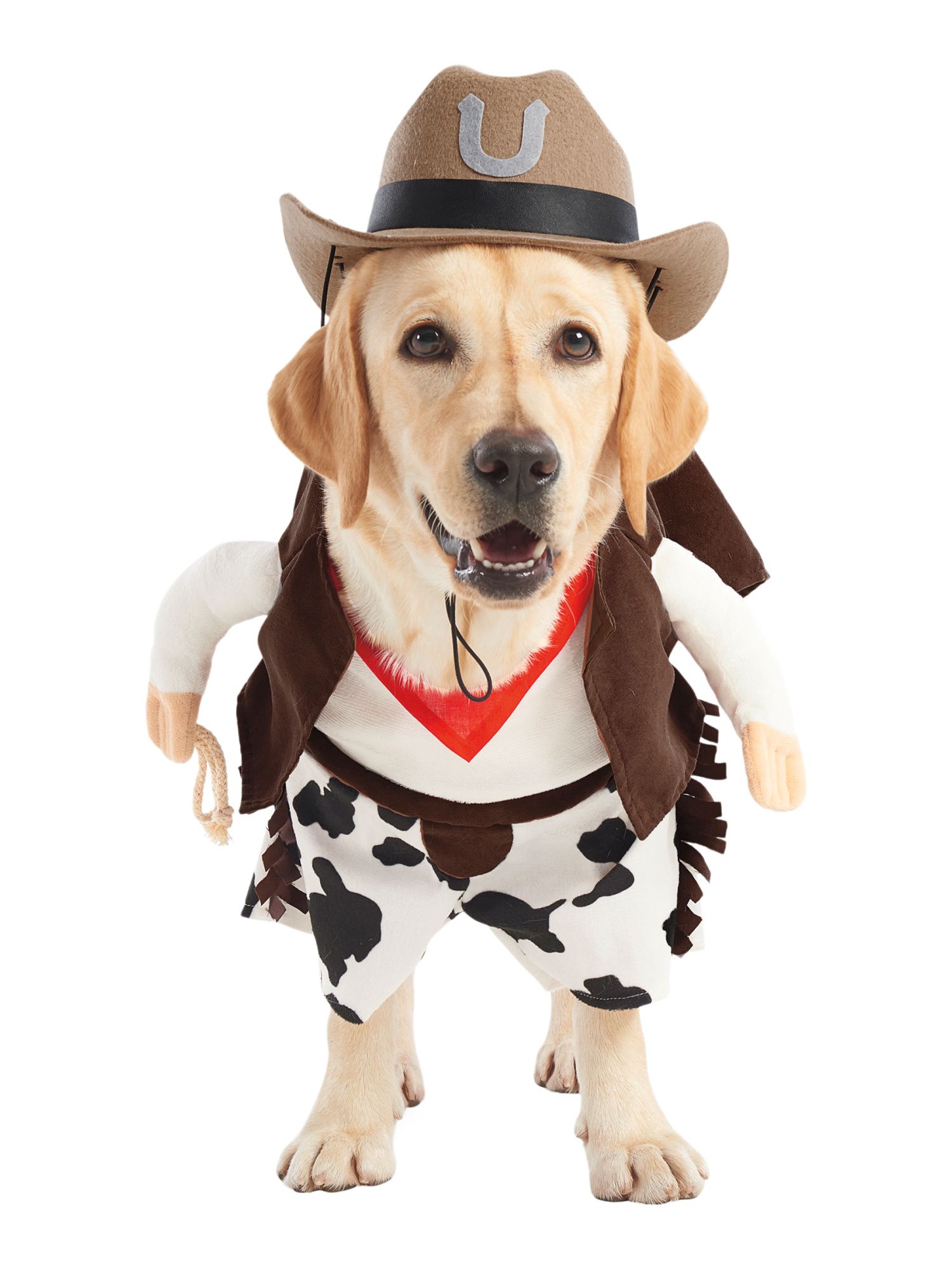 Cowboy Pet Costume | TJ Maxx
