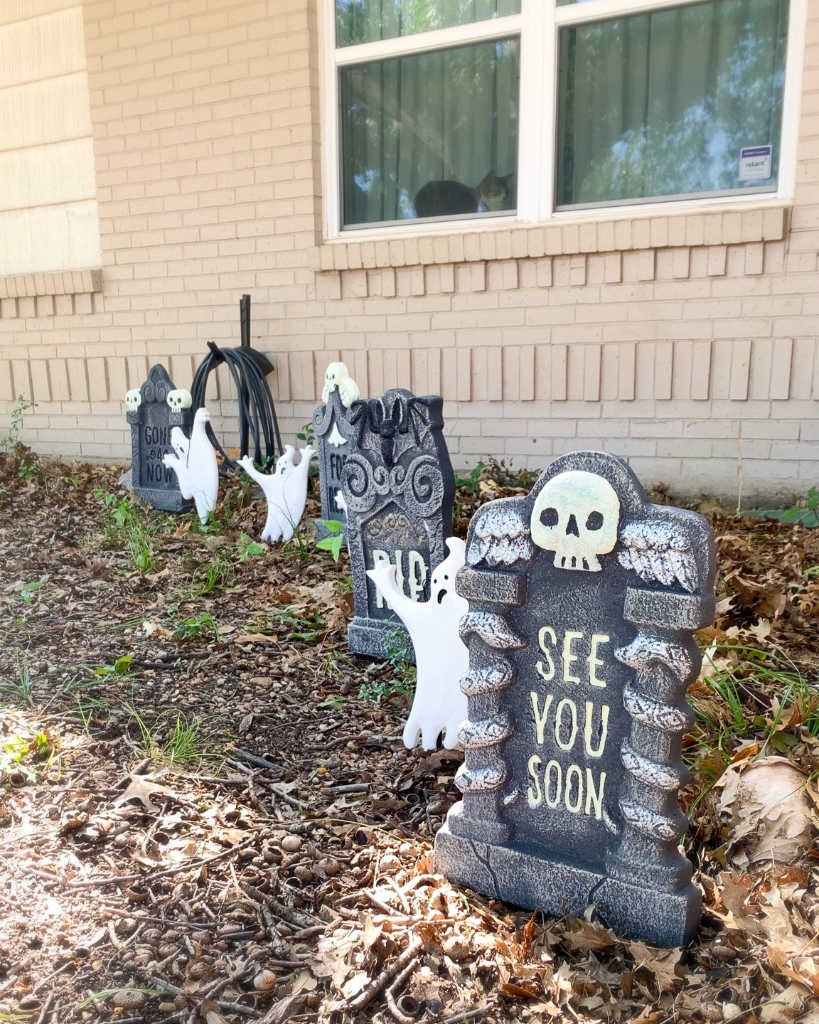 Outdoor Halloween decor 2022! 

#LTKSeasonal #LTKunder50 #LTKHalloween