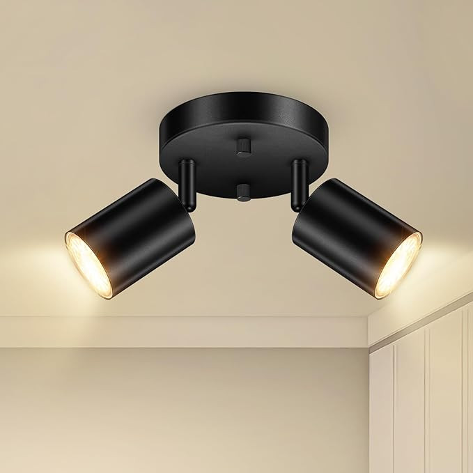 LED 2 Light Track Lighting Kit, LED Track Lighting Fixtures, Black Round Ceiling Spot Lighting, F... | Amazon (US)